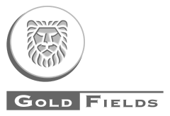 Gold Fields